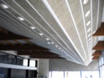 Absorbentes en Madera