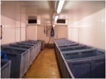 BT COMPOSITES PUR-EPS