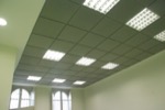 techo absorbente btfono