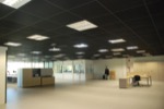 techo-absorbente-fonotec
